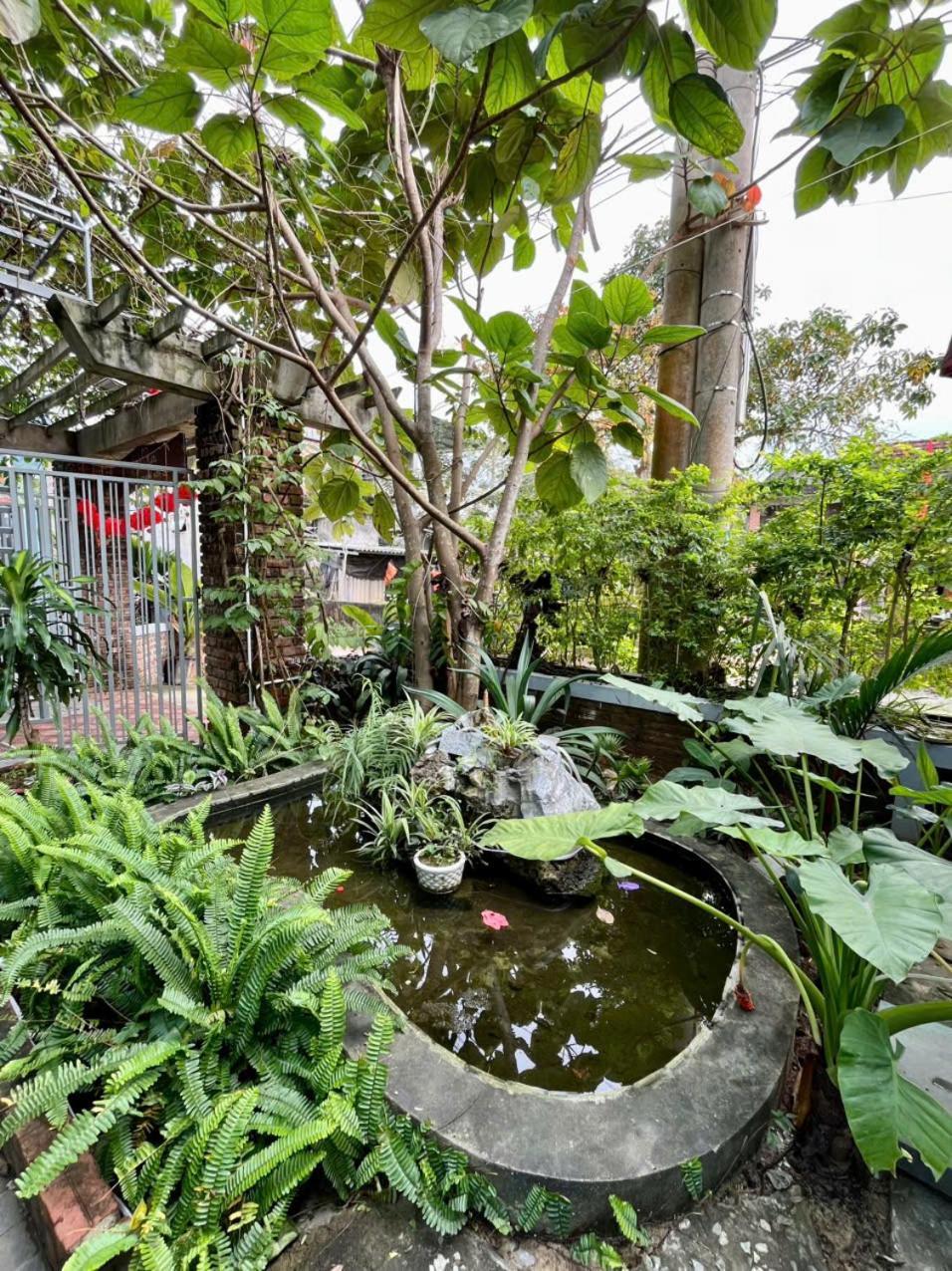 An An Homestay Bungalow Phong Nha Exteriér fotografie